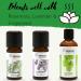 SENSOLI Tea Tree Essential Oil 10ml - Pure and Natural Essential Oil for Aromatherapy and Diffusers - Buy Online on GoSupps.com