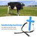 Buy Demeras Veterinary Mouth Opening Tool | Blue Cross Cattle Medicine Feed Opener | Durable Stainless Steel Hook for Animal Husbandry (L) - International Shipping Available - Buy Online on GoSupps.com