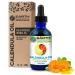 Earth Elements Organics Calendula Oil with Sunflower Oil Herbal Care for Chapped or Damaged Skin Organic Skincare for All Skin Types - 1 fl oz