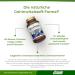 Brainpower Supplement | Ginkgo Biloba Brahmi & L-Theanine for Memory & Focus - 60 Capsules | Vitality Nutritionals by Vitaminexpress - Buy Online on GoSupps.com