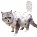 Yoolhamy Katzenbody after op professional recovery suit for cats cats body for cats operation castration e-neck band alternative for cat anti-losa wound for abdominal wounds small tigers