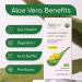 Organic AloeCure Lemon Aloe Vera Juice - 12 Hours from Harvest - Acid Reflux & GERD Treatment - Natural Digestion Aid - Buy Online on GoSupps.com