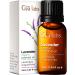 Gya Labs Organic Lavender Essential Oil for Diffuser & Skin - Organic Lavender Oil for Aromatherapy & Feelings of Relaxation - Lavender Oil Organic for Hair (10ml) Organic Lavender 10 ml (Pack of 1)