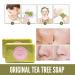 Genovie MD Tea Tree Handmade Soap Bar for Face & Body - Shea Butter Tea Tree Oil & Essential Oils - Soothes Skin 120g - International Shipping - Buy Online on GoSupps.com