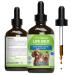 Pet Wellbeing Life Gold for Dogs - Supports Detoxification & Immune System Health with Astragalus & Sheep Sorrel - NASC Certified & Vet-Formulated - 4 oz Liquid Formula 4 Fl Oz