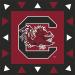 Westrick South Carolina Gamecocks Party Supplies - 48 pieces (Serves 16) - Buy Online on GoSupps.com