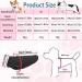 Buy Black L Dog Coat & Sweater for Small Dogs | Stylish Chihuahua Clothing for All Seasons - Buy Online on GoSupps.com