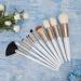 Makeup Tool Cosmetic Brush 10pcs Brush Professional Foundation Brush Portable for Girl Cosmetic Artist Women Professional - Buy Online on GoSupps.com