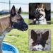 Breathable Basket Dog Muzzle for Small to X-Large Dogs - Stop Biting, Barking, and Chewing - Large Black - Buy Online on GoSupps.com