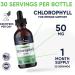 Nutra Well Chlorophyll Liquid Drops - 30 Servings for Immune Support, Energy Boost, Skin Care & Detox Cleanse - Premium Supplement - Buy Online on GoSupps.com