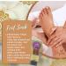 The Foot Factory Coffee Exfoliating Lotion Set (One Size Coffee) - Buy Online on GoSupps.com