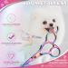 DRGSKL Small Dog Care Scissors - Professional Safe Round Point Detail Trim - Japanese Stainless Steel 440C - Perfect for Dogs & Cats - Rainbow Edition - Buy Online on GoSupps.com