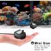 PULACO 95GPH Mini Submersible Water Pump - Ideal for Aquariums, Ponds & Hydroponics - Buy Online on GoSupps.com