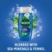  Radox Radox Mineral Therapy Feel Awake Men 2-in-1 Shower Gel and Shampoo Set of 6 with Fennel and Marine Minerals 225 ml - Buy Online on GoSupps.com