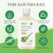 AloeCure Organic Aloe Vera Digestion Pack - 3 Pieces - Natural Flavor Juice, Aloe Vera Capsules, Probiotics + Enzymes - Buy Online on GoSupps.com