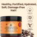 Sunny Isle Jamaican Black Castor Oil Shampoo & Conditioner Combo | Extreme Hydration + Intensive Repair Masque - 10.1oz & 16oz - Buy Online on GoSupps.com