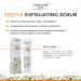 Intentionally Bare Gentle Face Scrub - Pro-Aging Exfoliator with MCT Oil for All Skin Types - 3.4oz | Best Face Scrub for Women with Dry Skin - Buy Online on GoSupps.com