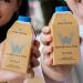 Water in a Box Flavoured Pure Spring Water 12 x 500ml Cartons | 100% Recyclable Packaging | Sustainably Sourced - Better Water for a Better World (Pure Spring) Pure Spring 6.00 l (Pack of 1) - Buy Online on GoSupps.com