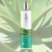 Curaloe Aloe Vera Body Gel | 95% Pure Organic Aloe with Lavender & Tea Tree Oil | Soothes Dry Skin, Cools Sunburn | Moisturizes & Softens | Unscented | Men & Women - Buy Online on GoSupps.com