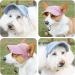 Adjustable Dog Baseball Caps with Ear Holes - Sunscreen Sun Protection Hat for Small Medium & Large Dogs - Comfortable & Stylish Design (S Blue) - Buy Online on GoSupps.com