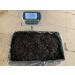 Atlantic Rhodymenia Palmata Dried Dulse Flakes 3.52 Ounce/100 g - Buy Online on GoSupps.com