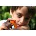 ZAP-IT! Mosquito Bite Relief Zapper | Fast Acting Anti-Itch Device | Chemical-Free & Non-Toxic | Reduce Itching & Scratching | Pack of 1 - Buy Online on GoSupps.com