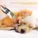 Podazz Electric Dog Grooming Kit Pet Clippers for Small Medium Large Breeds Pet Shaver Low Noise Dog Hair Trimmer Kit Rechargeable Cordless Dog Grooming Clippers Electric Pet Clippers Gold - Buy Online on GoSupps.com