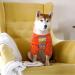 DENTRUN 2 Pack Stripe Dog Shirts for Small Medium Large Pets | Lightweight Breathable Apparel for Dogs & Cats | Soft Basic Outfit Vests in Red & Yellow | XX-Small - Buy Online on GoSupps.com
