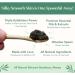 Bare Botanics Coconut Coffee Exfoliating Body Scrub 24oz | Made in USA | All Natural Sea Salt Scrub w/Skin Loving Moisturizers | Vegan & Cruelty Free | Ready to Gift w/a Cute Wooden Spoon - Buy Online on GoSupps.com