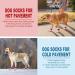 Expawlorian Non-Slip Dog Socks - Soft & Breathable Paw Protection for All Dogs | Adjustable Straps & Traction Control | Pink XS (4 Count) - Buy Online on GoSupps.com