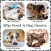 Kuoser Dog Recovery Suit - Post-Op Body for Dogs & Cats | Breathable Anti-Lick E-Collar Alternative | Ideal for Male Castration & Surgery - Buy Online on GoSupps.com