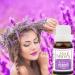 Soul Mantra Lavender Oil - Aromatherapy Essential Oil for Diffusers & Relaxation | 5ml 30ml Options - Buy Online on GoSupps.com