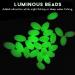 SILANON Glow Fishing Beads Saltwater 100pcs - Luminous Oval Round Bait Eggs for Fishing Rigs - White Glow in Dark Tackle - Buy Online on GoSupps.com