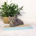 AMZNOVA Cat Scratcher Pad | Durable Cardboard with Catnip | 7 Colors & 2 Sizes - Baby Blue - Buy Online on GoSupps.com