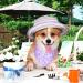 Summer Floral Dog Bandanas Bulk - 20 Pieces Hawaii Pattern Scarf for Small, Medium, Large Pets - Buy Online on GoSupps.com
