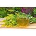 Goldenrod Herb Tea | Solidago Virgaurea L | Solidage Verge D'OR Herbe Tisane | Health Embassy (100g) - Buy Online on GoSupps.com