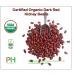 Organic Dark Red Kidney Beans- Fiber & Protein rich  Raw  Non-GMO  Vegan Bulk-10LB Organic Dark Red Kidney Beans 10 Pound (Pack of 1) - Buy Online on GoSupps.com
