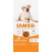 IAMS Complete Dry Dog Food for Adult 1+ Large Breeds with Chicken 12 kg 12 kg (Pack of 1) - Buy Online on GoSupps.com
