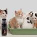 ULTECHNOVO Pet Supplies: Cat Litter Deodorizer Beads - 1 Bottle Cleaning Solution - Buy Online on GoSupps.com
