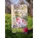 Green Shopper Purgr n 3kg Rabbit Feed - Premium Quality All-Natural Nutrition for Healthy Bunnies - International Shipping Available - Buy Online on GoSupps.com