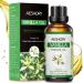 Aeshory essential oils vanilla 50ml 100% natural essential vanilla oil therapeutic quality aromatherapy fragrance oils for diffuse humidifier skin care hair care massage bathroom