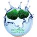 Buy 2 Selected Marimo Moss Balls (2-4 cm) in Feng Shui Pot - 500 ml with Cork Stopper for Yoga & Massage - International Shipping Available - Buy Online on GoSupps.com