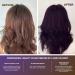 Shop Celeb Luxury Purple Hair Color Shampoo for Brunettes | Vegan Semi-Permanent Color & Bondfix Rebuilder - International Shipping Available - Buy Online on GoSupps.com