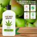 Buy Hemp Heaven Pure Hemp Seed Oil Body Lotion - Pear Blossom | Moisturizes Soothes & Hydrates | Vitamins & Omega Rich | 12 Oz - International Shipping Available - Buy Online on GoSupps.com