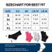 4 Pairs Compression Ankle Bandage Socks for Men & Women - Plantar Fasciitis & Heel Spur Relief - Black & White Size 47-51 - Buy Online on GoSupps.com