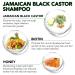 Buy Tiuedu Jamaican Black Castor Oil Shampoo for Thinning Hair - Best Hair Care for Men & Women | Promote Hair Growth - Buy Online on GoSupps.com