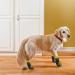 EXPAWLORER Double Side Anti-Slip Dog Socks - 3 Pairs with Straps for Traction Control on Hardwood Floors | Pet Paw Protection for Small Medium Large Dogs - Buy Online on GoSupps.com