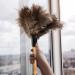 Kioiner Ostrich Feather Duster 34cm/13.3inch Antistatic Natural Ostrich Feather Duster Fluffy Feather Duster with Wooden Handle for Home Office Car Keyboard Blinds Bookcase Furniture - Buy Online on GoSupps.com