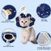 Cat Recovery Collar Adjustable Pet Recovery Collar Protective Cat Cone Collar Soft Elizabethan Collar Prevent Cats Kitten from Licking Wounds(M) - Buy Online on GoSupps.com