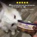 Wellness CORE Grain-Free Wet Cat Food - Shredded Chicken & Turkey, 2.8 oz Cans (Pack of 12) - Natural, Real Meat - Buy Online on GoSupps.com